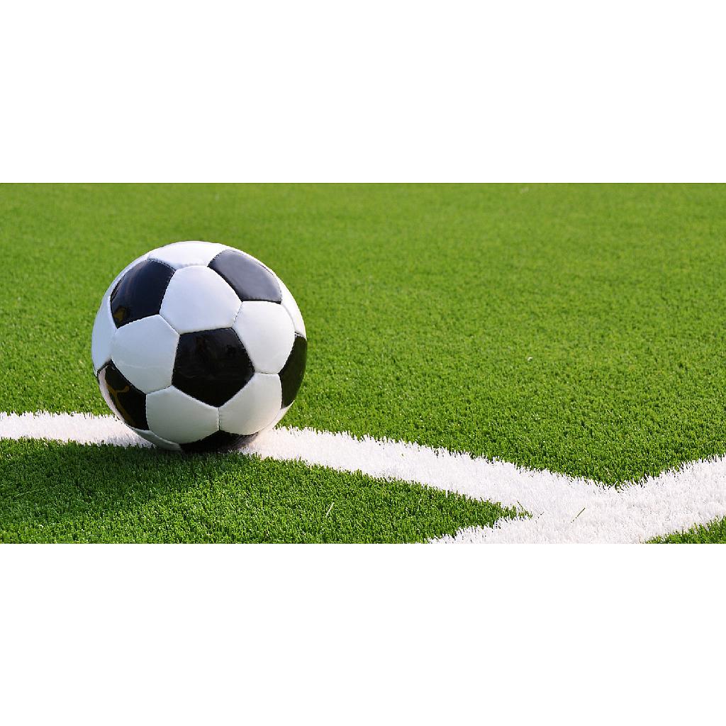 Alquiler Cancha por Hora 